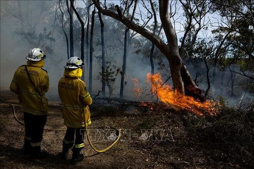 Australia: Bang New South Wales ghi nhận gần 400 vụ cháy rừng trong vòng 7 ngày