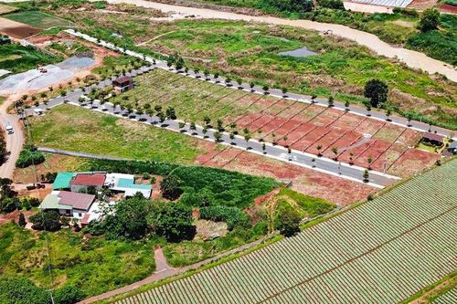 Lâm Đồng: Phát hiện dự án trái phép được rao bán rầm rộ