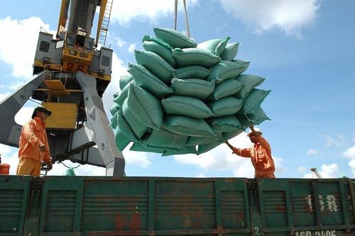 Dự thảo xuất khẩu gạo sẽ hạn chế doanh nghiệp nhỏ thâm nhập thị trường mới