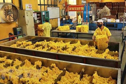 Giá đường chịu sức ép từ chuyển đổi nguyên liệu ở Brazil
