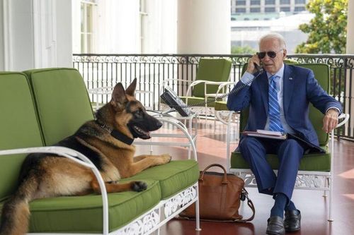 Chó cưng 'Tư Lệnh' của ông Biden bị trục xuất khỏi Nhà Trắng