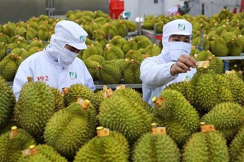 Vượt 120 tỷ USD, thương mại Việt Nam - Trung Quốc tiếp tục khởi sắc
