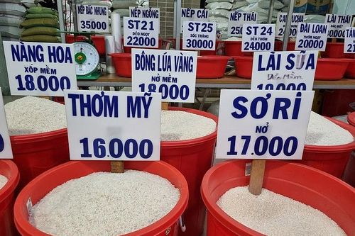 Bỏ trần giá nội địa: Philippines có tăng nhập khẩu gạo?