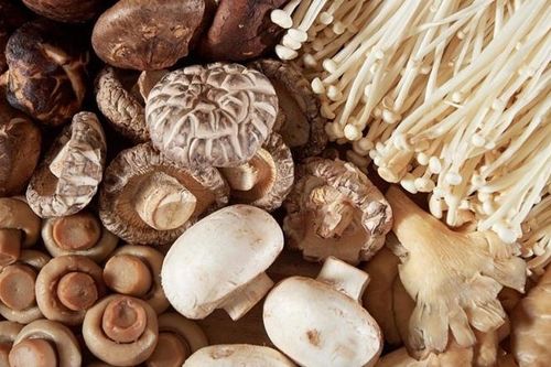 Ăn nấm có thực sự tốt? Những loại nấm nào hỗ trợ phòng ngừa ung thư?