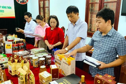 Bình chọn 17 sản phẩm công nghiệp nông thôn tiêu biểu năm 2023