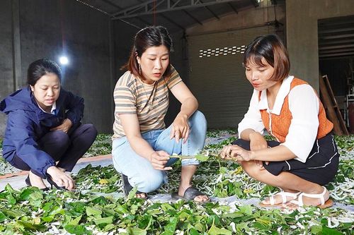Chị Liên '2 giỏi'