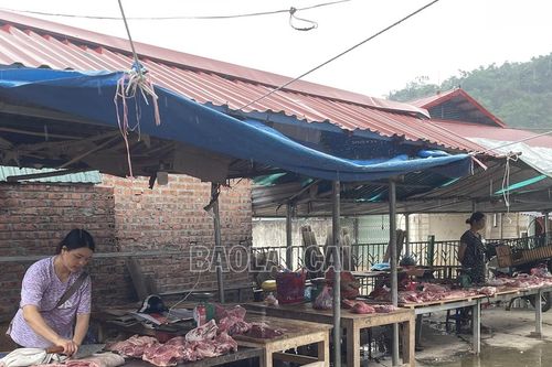 Đẩy mạnh quản lý, kiểm soát giết mổ, kinh doanh động vật, sản phẩm động vật