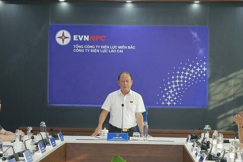 Đoàn đại biểu Quốc hội tỉnh làm việc với Công ty Điện lực Lào Cai