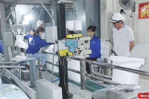 Phát triển văn hóa an toàn lao động
