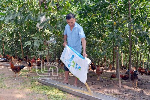 Bước chuyển ở xóm 135