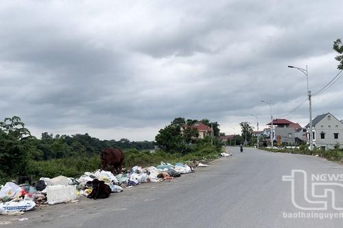 Ngổn ngang rác trên đường đê Chã