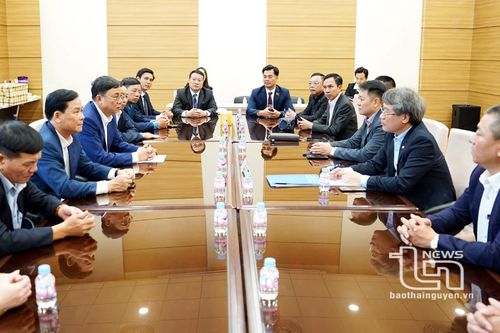 Lãnh đạo tỉnh Thái Nguyên làm việc với Đại sứ quán Việt Nam tại Hàn Quốc