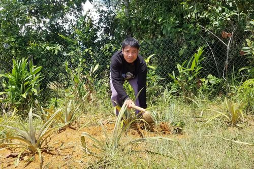 Đưa A Lưới ra khỏi danh sách huyện nghèo
