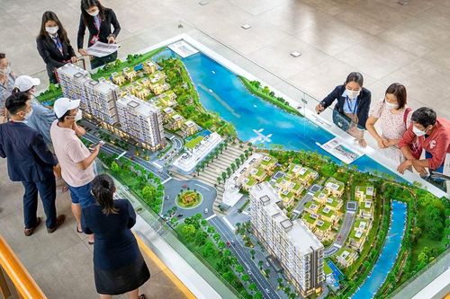 Đất Xanh Services (DXS): Phát hành thêm 121 triệu cổ phiếu là để tăng lợi thế cạnh tranh