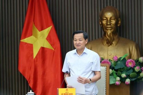 Phương án xử lý Dự án Nhà máy Bột giấy Phương Nam phải đảm bảo khả thi, thu hồi tối đa tài sản