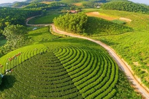 Thái Nguyên: Phải làm gì để nâng cao chất lượng tiêu chí môi trường trong xây dựng NTM?