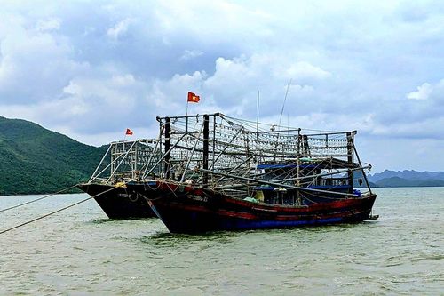 Bão Koinu đi vào Biển Đông trở thành cơn bão số 4