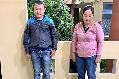 Tạm giữ 2 đối tượng mua bán động vật hoang dã quý hiếm trái phép