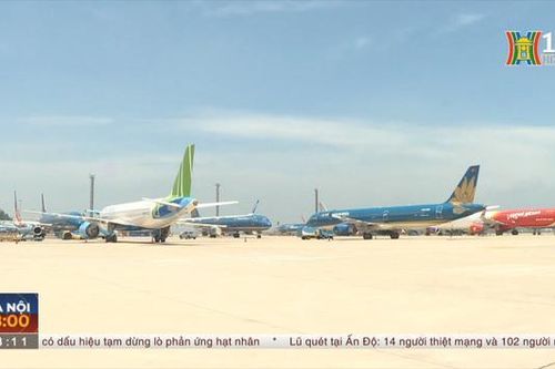 Yêu cầu các hãng hàng không báo cáo kế hoạch bay Tết