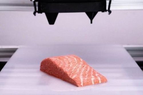 Cá hồi làm bằng... công nghệ in thực phẩm 3D