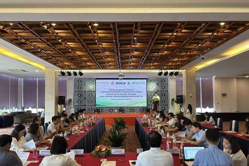 Tạo cơ hội cho hơn 20.000 người khuyết tật tiếp cận phúc lợi xã hội