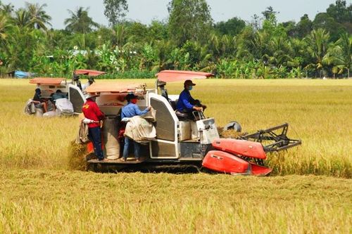 Liên kết giữa các địa phương vùng đồng bằng sông Cửu Long