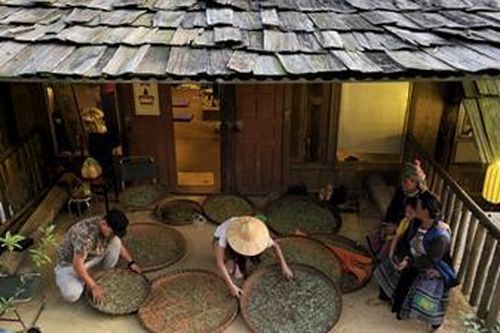 Đưa sản phẩm vùng cao tham gia chuỗi cung ứng