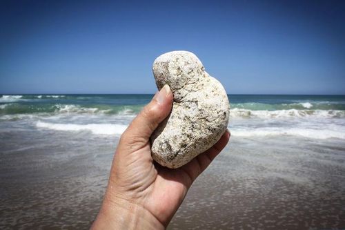 Vô tình đụng trúng cục đá tỏa hương ngoài biển, đổi đời trong nháy mắt