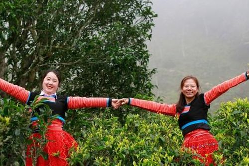 Giám đốc học tiếng Mông để cùng dân bản biến cây củi thành đặc sản