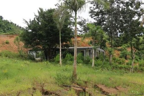 Đắk Nông: Lại sụt lún, đứt gãy bất thường, diện tích hơn 9ha