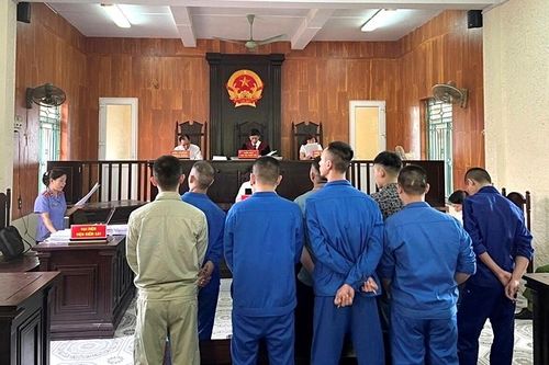 Xây dựng Nghị quyết hướng dẫn áp dụng về các tội phạm ma túy