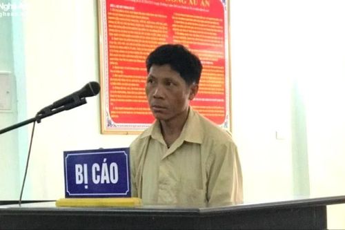 Vào rừng phòng hộ xẻ gỗ về làm nhà, người đàn ông lĩnh án