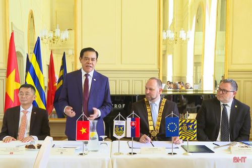 Hà Tĩnh thúc đẩy quan hệ kinh tế song phương với địa phương Slovakia