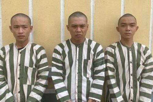 Bình Dương: Điều tra vụ bé gái 12 tuổi bị nhóm đối tượng giam lỏng