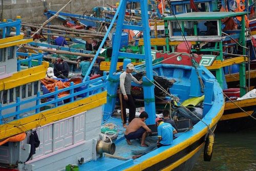 Phú Quý: Nhanh chóng cấp cứu một thuyền viên bị cá đâm nguy kịch