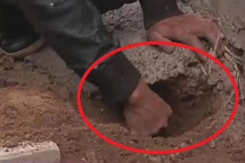 Đem tiền tiết kiệm chôn xuống đất 13 năm, người đàn ông tái mặt khi đào số tiền lên