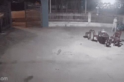 Clip: Cháu bé lao ra đường, tiếng la hét xé lòng của người phụ nữ