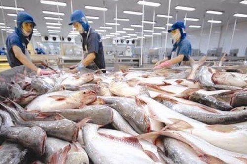 Viễn cảnh tươi sáng của 'nữ hoàng cá tra' (VHC) sẽ dựa nhiều vào các công ty con?