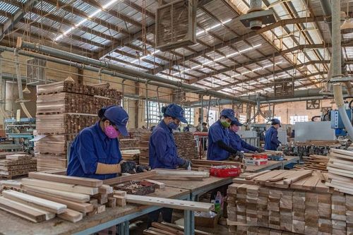 Phụ nữ bảo vệ rừng vẫn thiệt thòi trong chi trả dịch vụ môi trường rừng