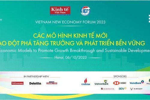 Diễn đàn Kinh tế mới Việt Nam và Lễ công bố Thương hiệu mạnh Việt Nam 2022 - 2023