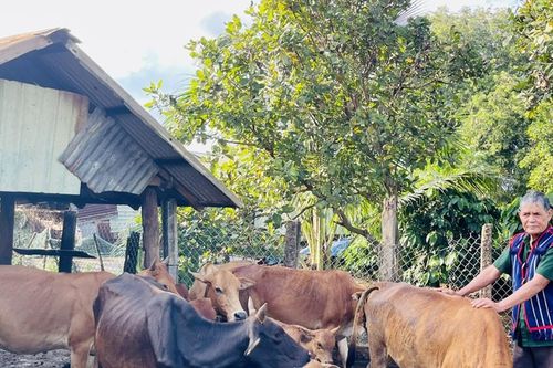 'Hạt nhân' phát triển kinh tế ở Ia Dơk