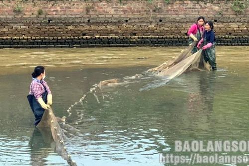 Đảm bảo chất lượng con giống thủy sản