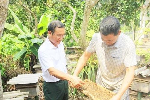 Đổi thay ở 'rốn nghèo' Sơn Động