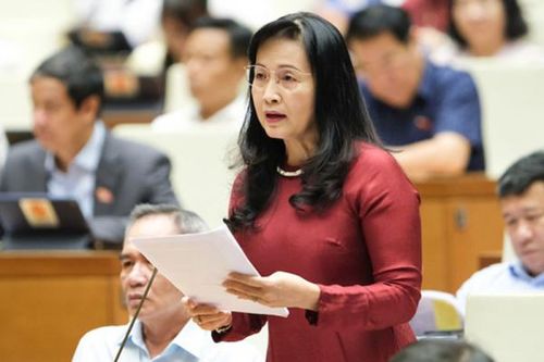 Hội Nghệ sỹ nhiếp ảnh đề nghị xét NSND, NSƯT cho nhà nhiếp ảnh khi xây dựng dự thảo Nghị định