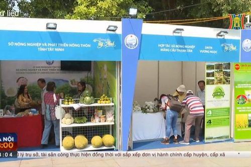 'Ngày Tây Ninh tại Hà Nội' có gì hấp dẫn?