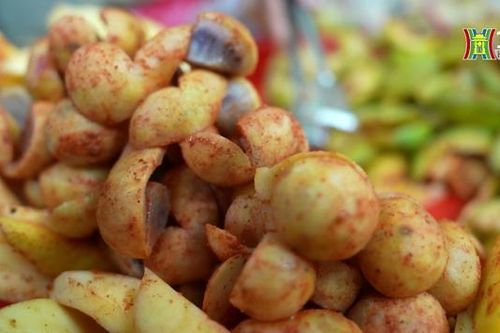 Khúc biến tấu của sấu