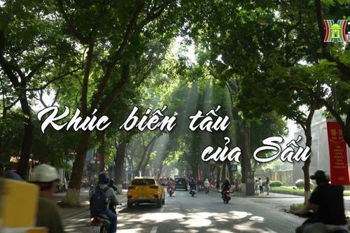 Khúc biến tấu của sấu | Nhịp sống Hà Nội| 06/10/2023