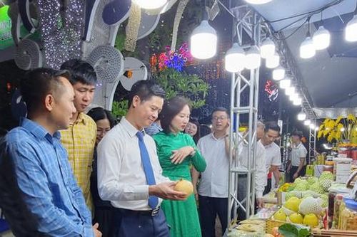 Khai mạc Hội chợ trái cây, nông sản an toàn các tỉnh, thành phố năm 2023