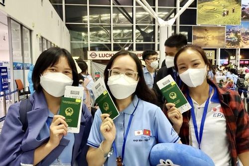 Điểm mặt các website lừa đảo người lao động đi làm việc ở nước ngoài
