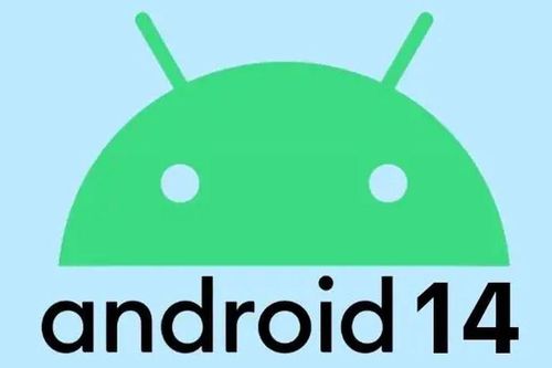Android 14 chính thức ra mắt